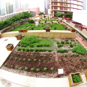 A view of the Pyramid's rooftop garden