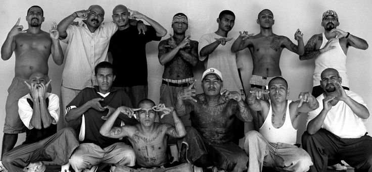 A guide to the creation, rise and rule of Latino gangs in the U.S