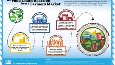 Farmers Market Relationships-Infographic