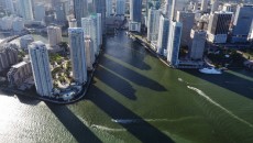 "The City Shadows" showcases newly built skyscrapers which play a part in the city-wide progression of "Miami manhattanization."