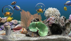 Home aquariums featuring individualized Nemo's Gardens.